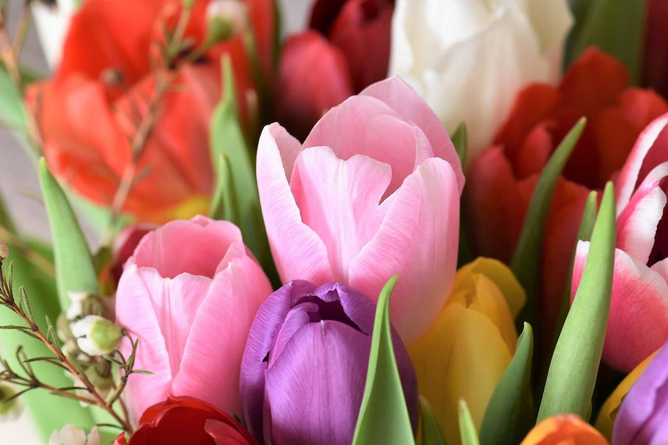 IL GIOIELLO FLOREALE