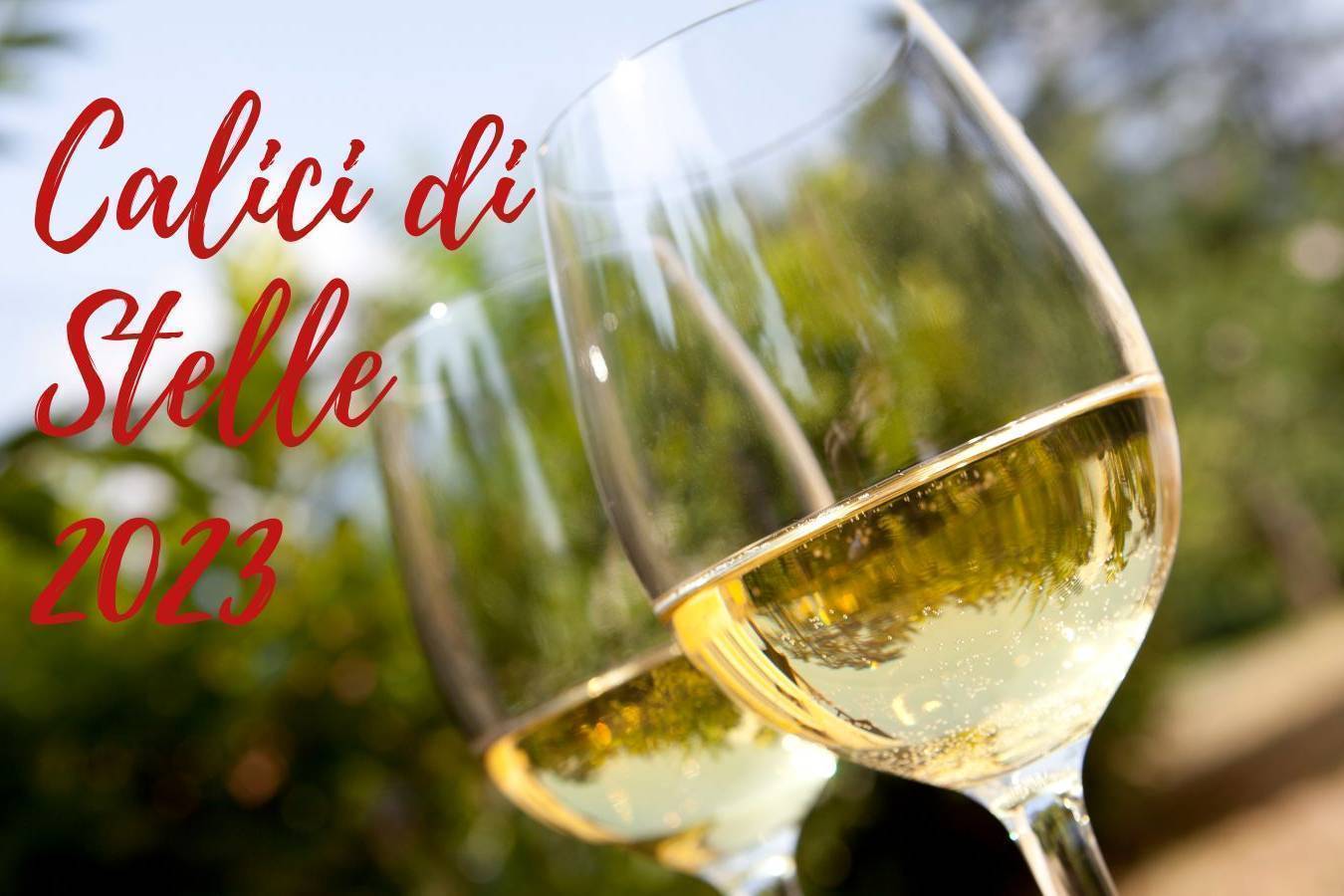 CALICI DI STELLE 2023 - BASSANO DEL GRAPPA