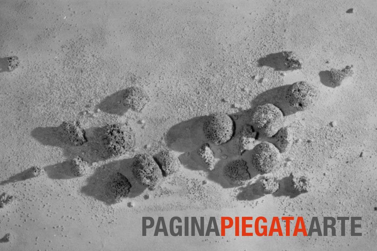 PAGINAPIEGATAARTE agosto 2023