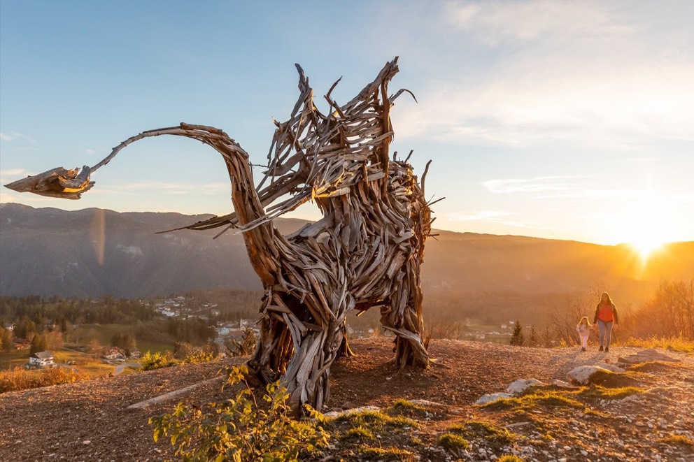 1° Drago Vaia Trail