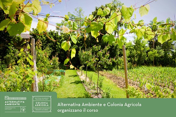 Orto biologico: tecniche di coltivazione e di difesa