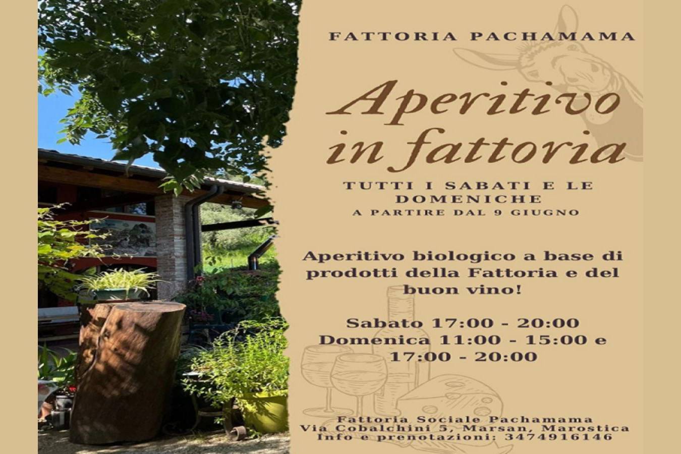 Aperitivo in fattoria