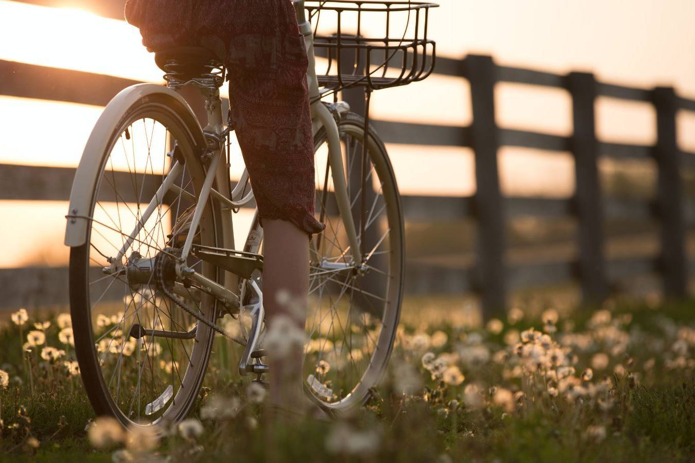 PEDALANDO PER LE TERRE DEL BRENTA