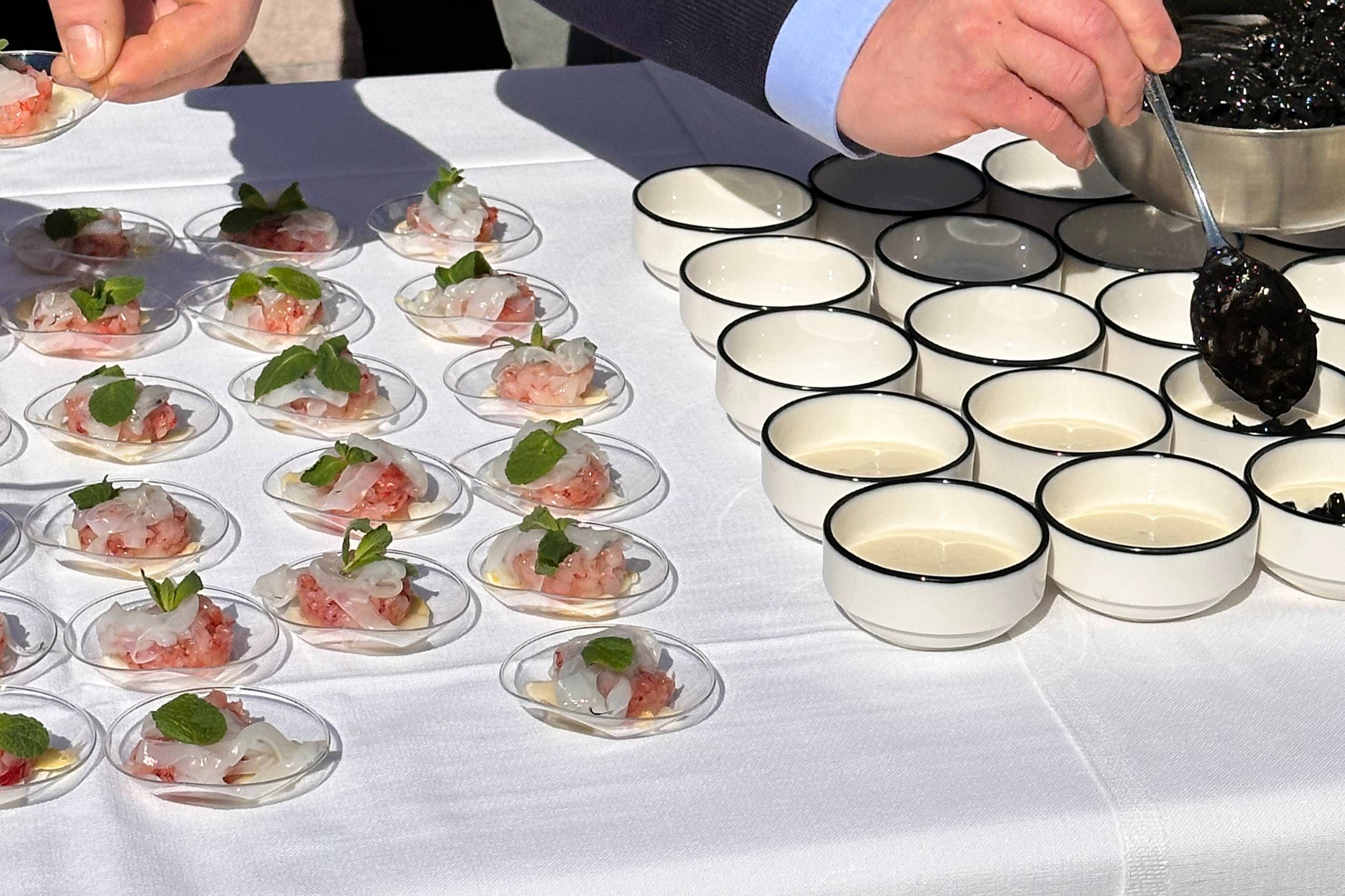 Asparago Bianco di Bassano DOP: al via la Rassegna Gastronomica 2025