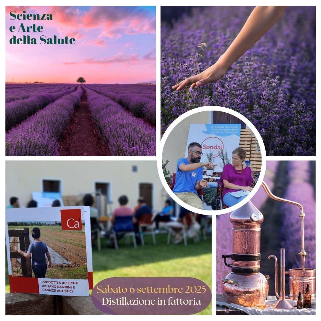 La distillazione degli oli essenziali