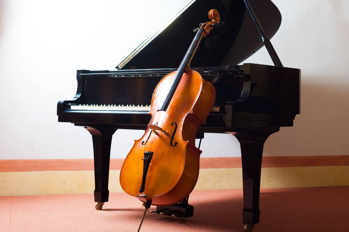 Concerto Festa della Madonna della Salute 17° edizione 