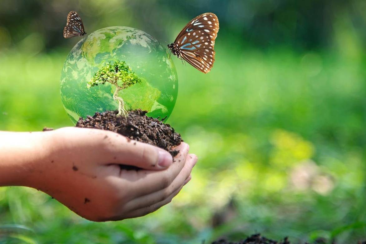 Biodiversità e attività umane