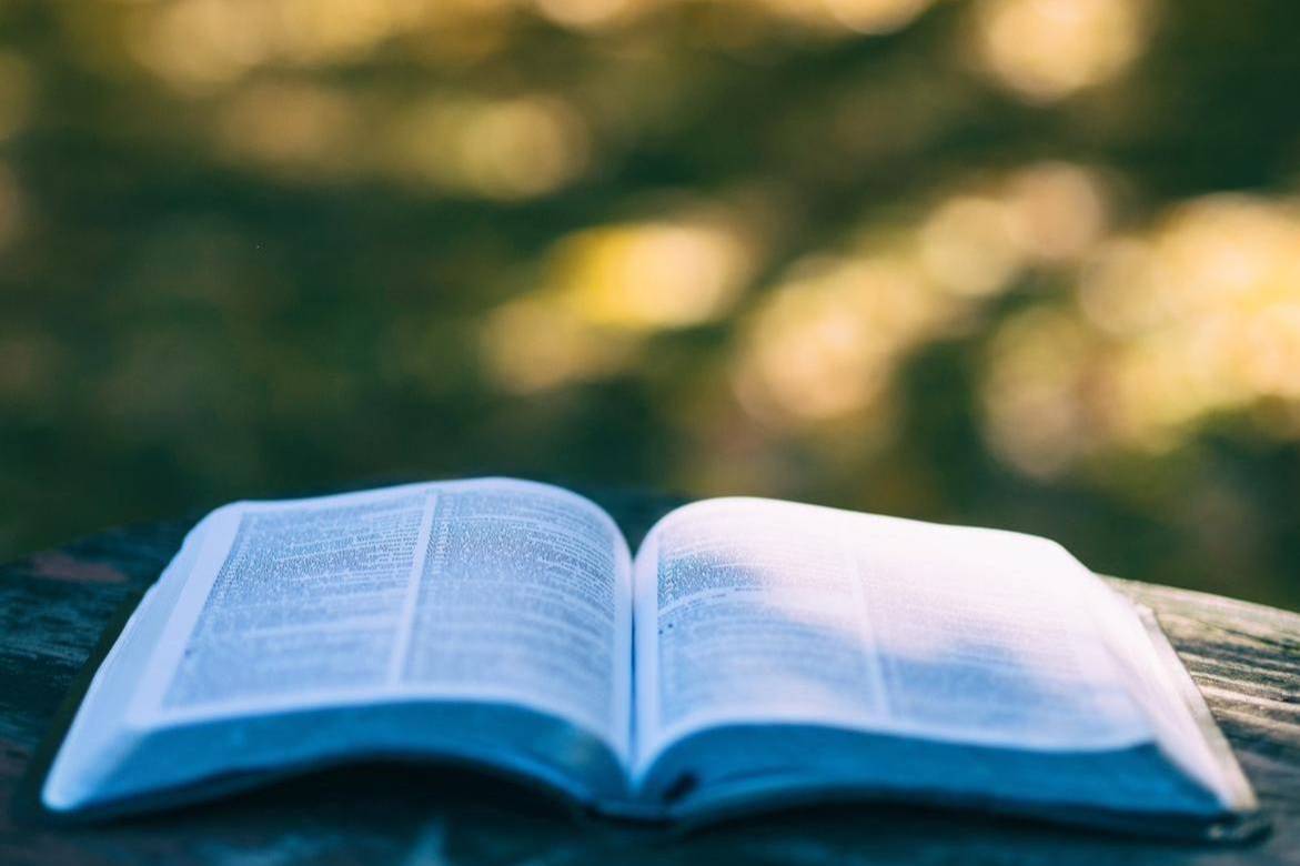 Rassegna Letteraria 25/26 - "Il Mistero De Rotschild" 