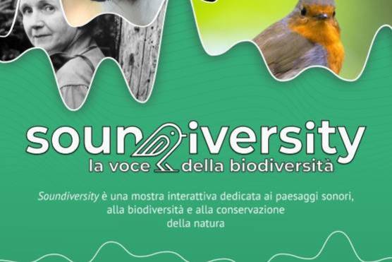 Visite Mostra SOUNDIVERSITY. La voce della biodiversità - TAGLIO ARCHEOLOGICO