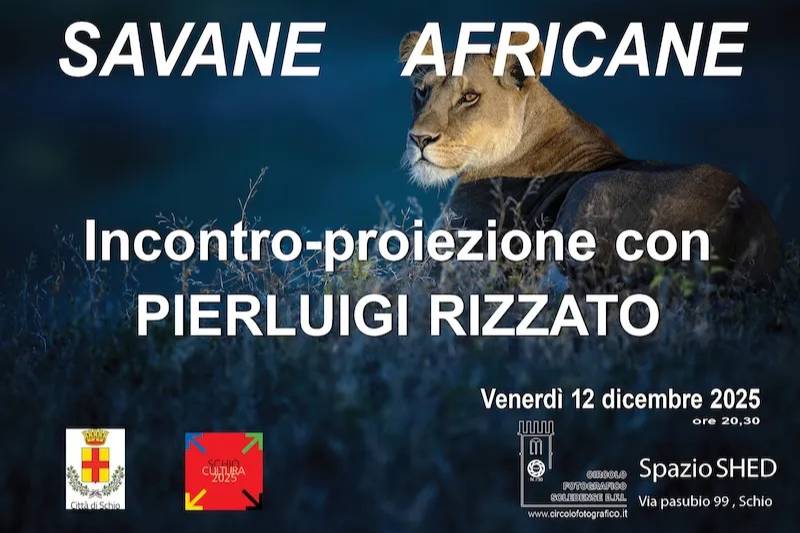 Savane africane