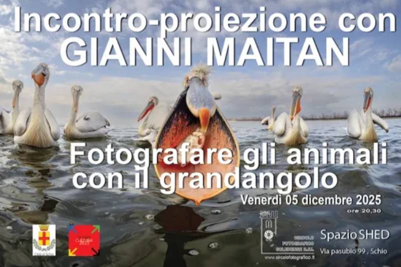 Fotografare gli animali con il grandangolo - Meravigliosa natura