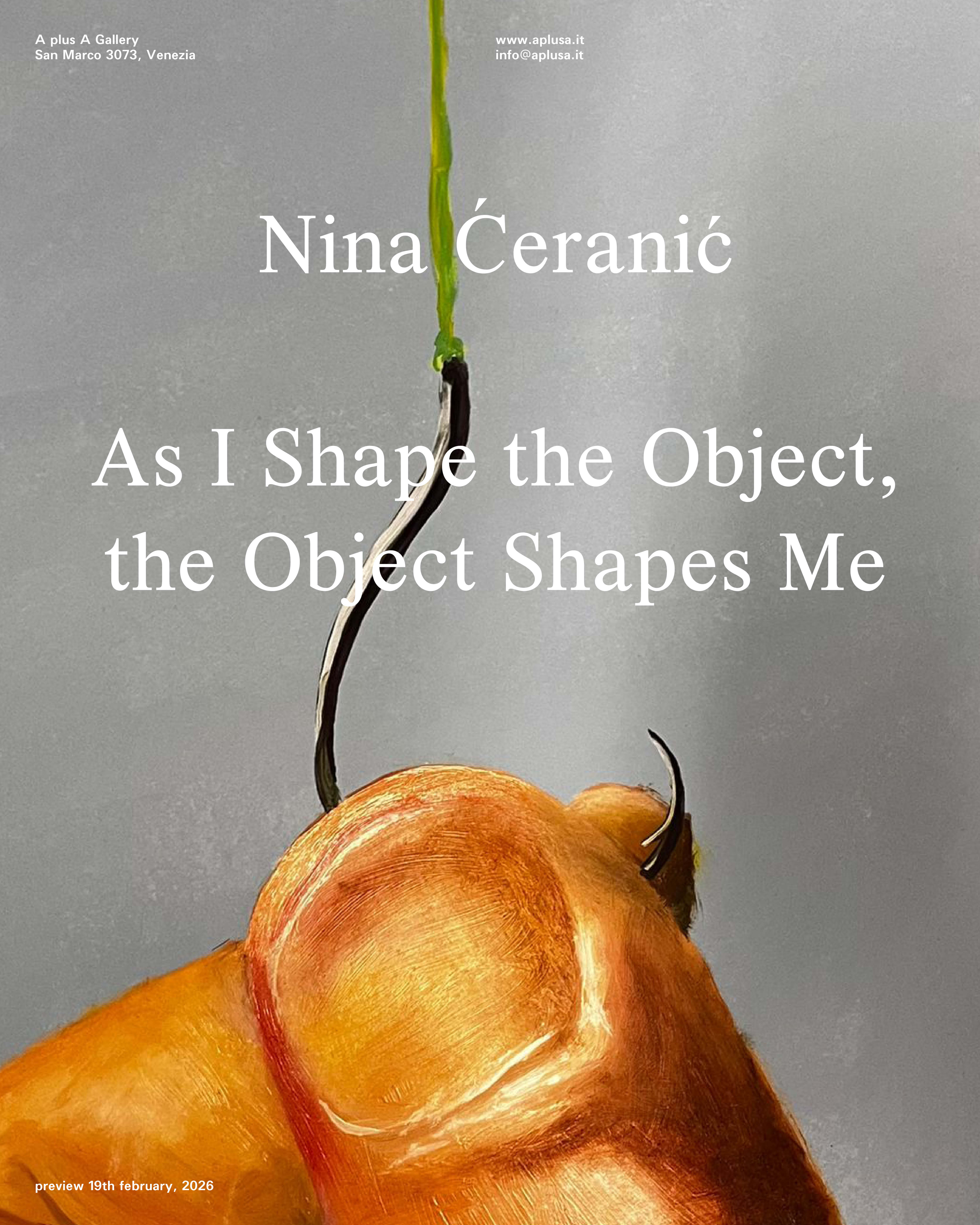 Nina Ćeranić, As I Shape the Object, the Object Shapes Me, A plus A Gallery