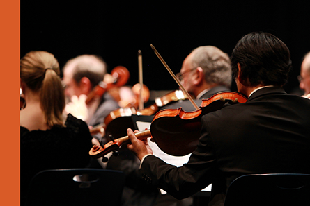 UNA MATTINATA IN VILLA