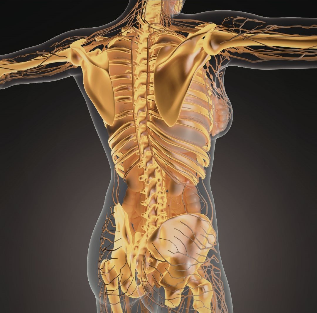 Conferenza: Rieducazione al movimento e recupero funzionale