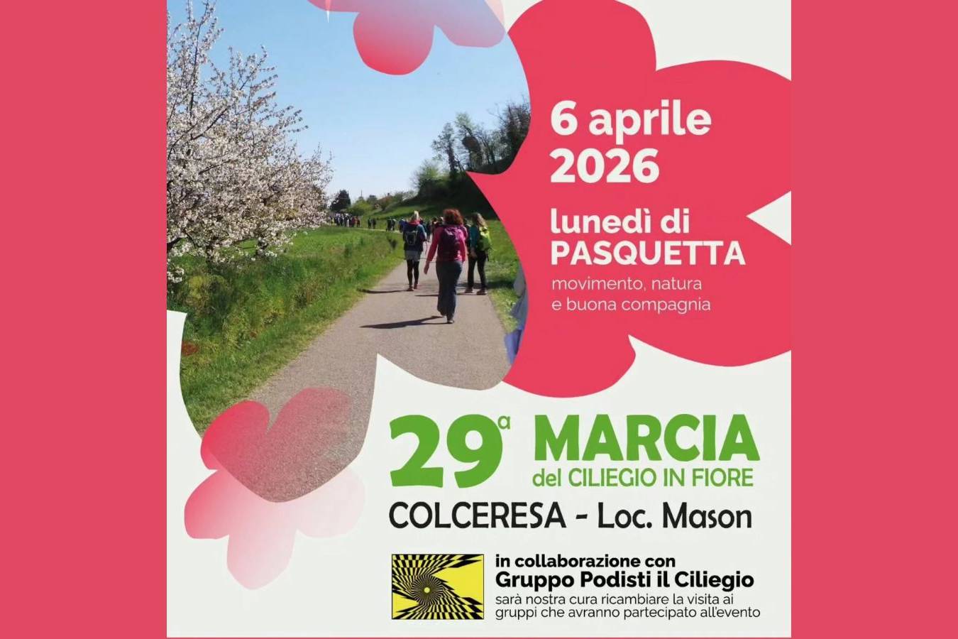 Marcia del Ciliegio in Fiore