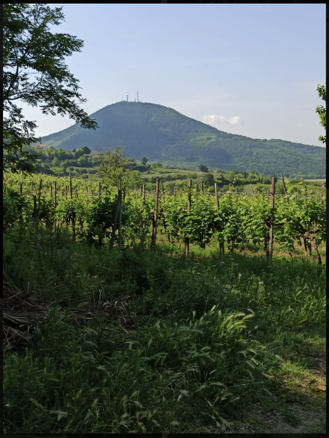 Magna & Pedala 2026 — 30° Anniversario EsteBike