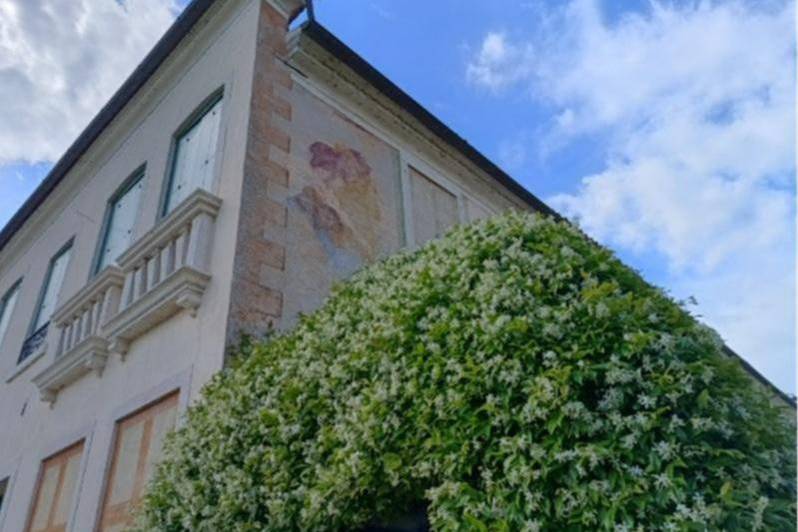 Visite guidate a Villa Ca' Erizzo