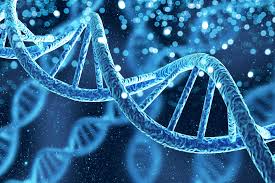 Biodecodifica: La logica della Vita
