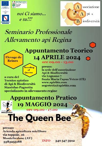 Seminario Professionale Allevamento api Regina