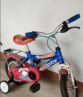 Bicicletta da bambino