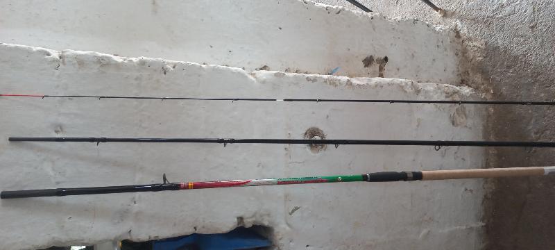 Canna da pesca feeder