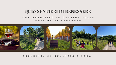 Sentieri di Benessere con aperitivo in Cantina sulle colline di Breganze