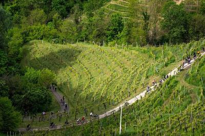 NOVA Eroica Conegliano Valdobbiadene Prosecco Hills 2025