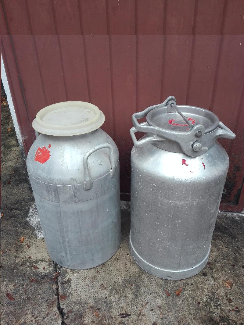 BIDONI TRASPORTO LATTE