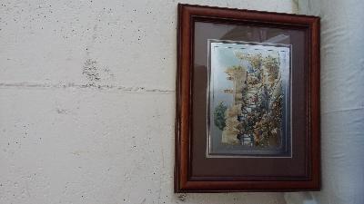 4 BELLISSIME STAMPE COLORATE