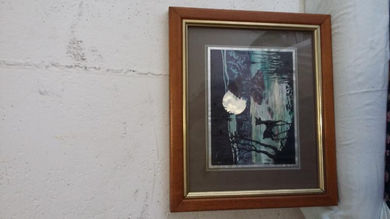 5 BELLE STAMPE COLORATE