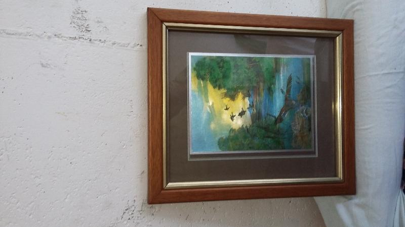 5 BELLE STAMPE COLORATE