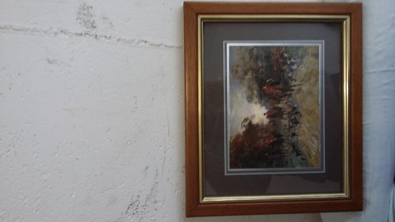 5 BELLE STAMPE COLORATE