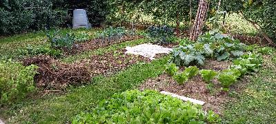 Coltivazione piccolo orto