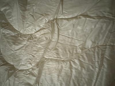 Trapunta singola invernale Wenatex