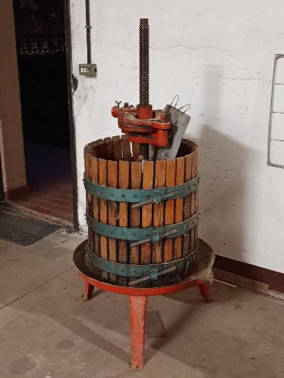 VEVCHIO TORCIO MANUALE 