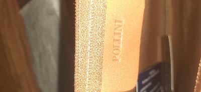 Borsa a mano Pollini 