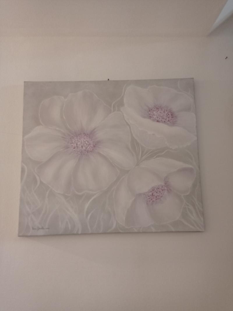 Dipinti olio e acrilico su tela di varie dimensioni 