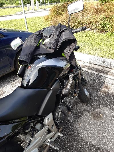 I'm looking for a beautiful woman