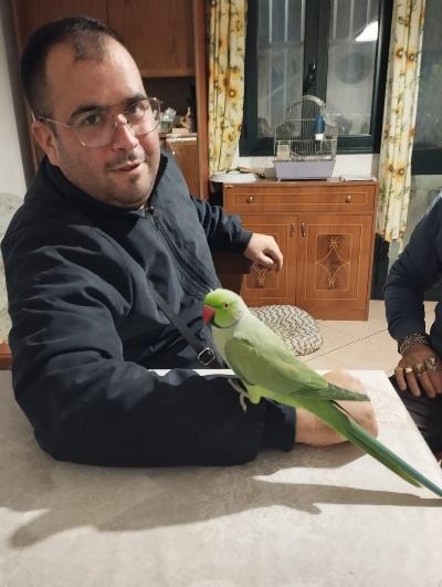 Cerco ragazza per storia seria