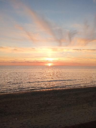 Cerco rapporto di amicizia e sesso