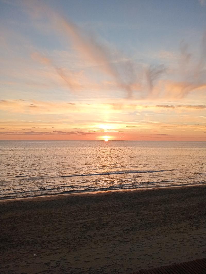 Cerco rapporto di amicizia e sesso