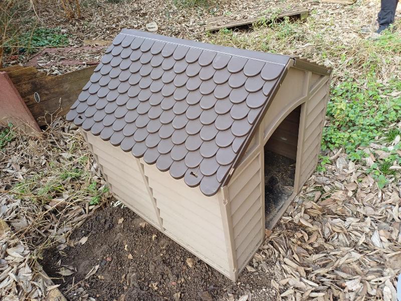 casetta per cane taglia grande