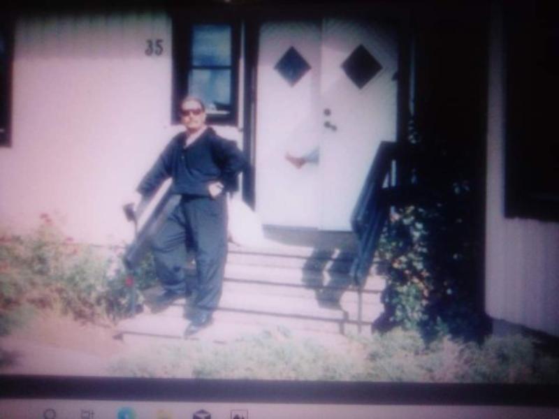 CERCO COMPAGNA X SEMPRE