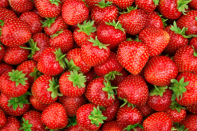 54a Festa della Fragola