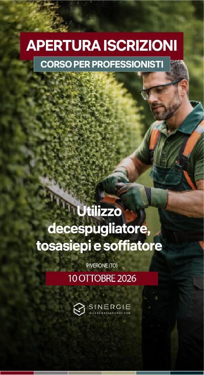 PATENTINO DECESPUGLIATORE, TOSASIEPI, SOFFIATORE – PIVERONE (TO)